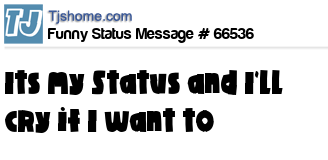 status message box