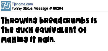 status message box