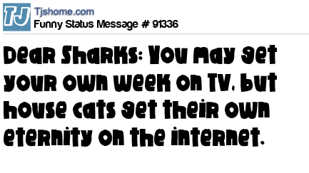 status message box